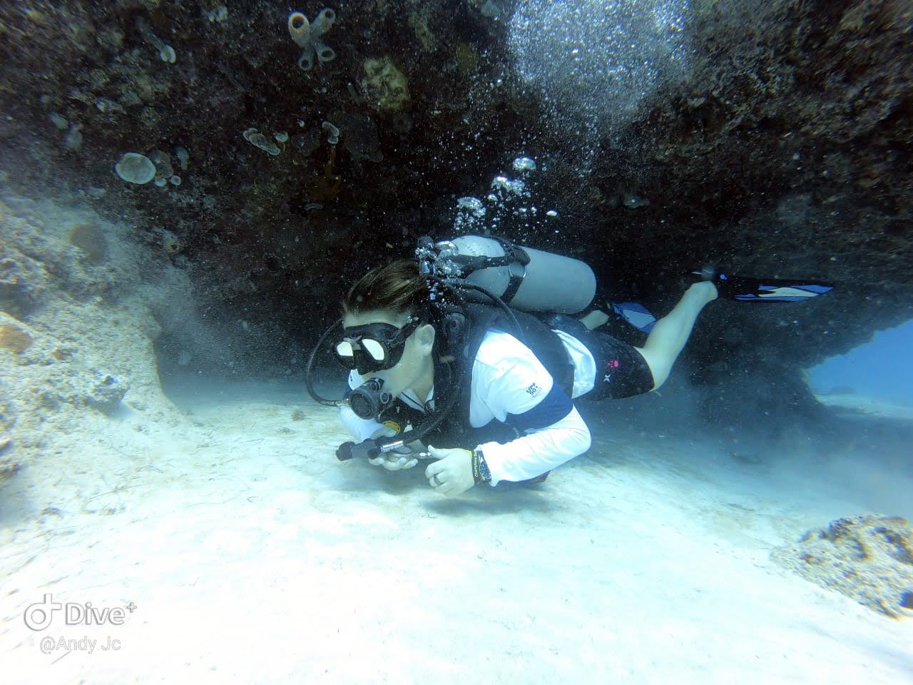 Diver under a reef overhang off Playa del Carmen